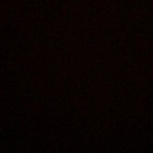 Meet your Posher, Chantell